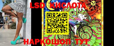 прущие крисы Бийск