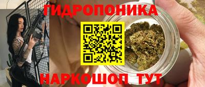 прущие крисы Бийск