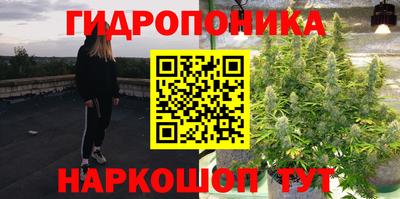 стафф Берёзовский